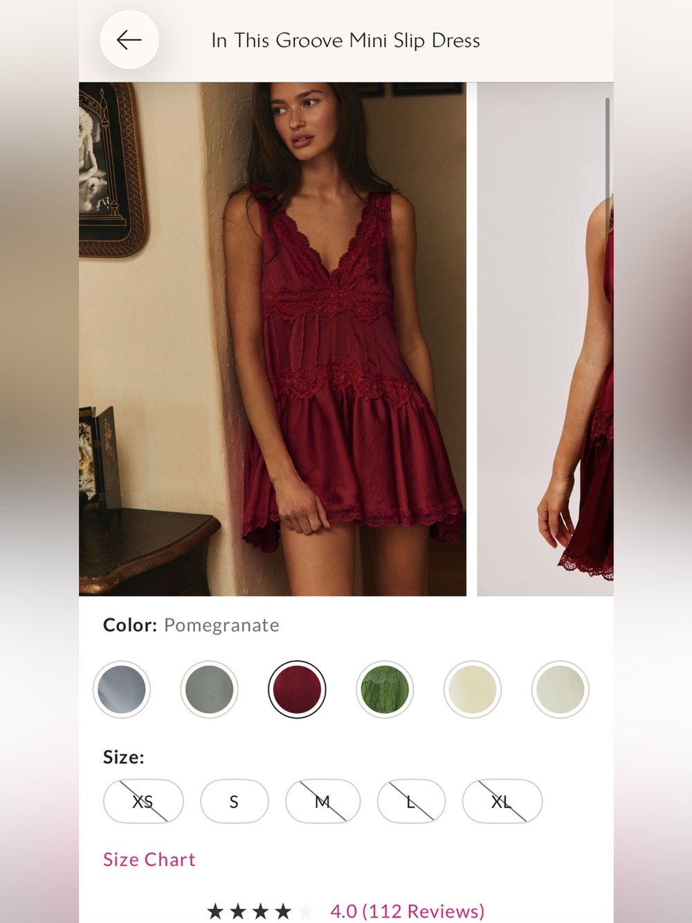 NWT and bag in the groove slip dress XS pomegranate
